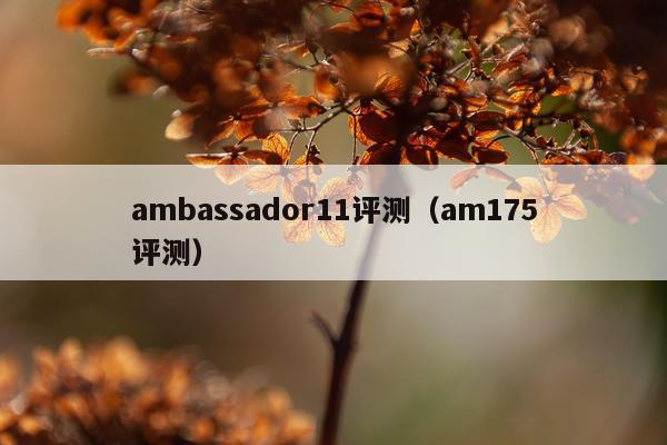 ambassador11评测（am175评测）