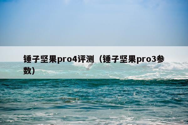 锤子坚果pro4评测（锤子坚果pro3参数）