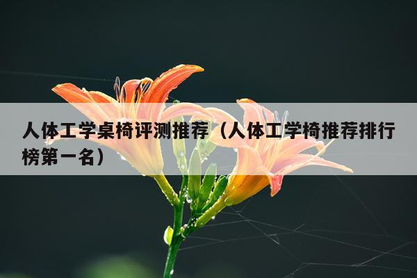 人体工学桌椅评测推荐（人体工学椅推荐排行榜第一名）