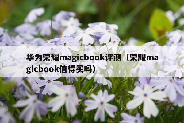 华为荣耀magicbook评测（荣耀magicbook值得买吗）