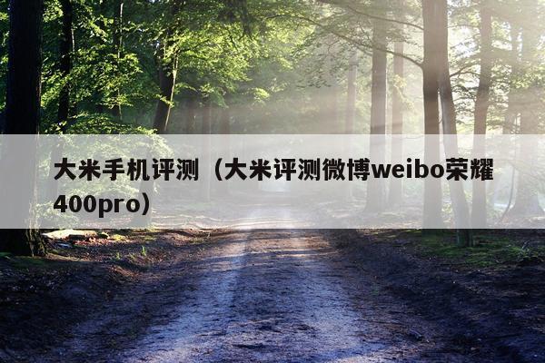 大米手机评测（大米评测微博weibo荣耀400pro）