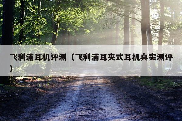 飞利浦耳机评测（飞利浦耳夹式耳机真实测评）