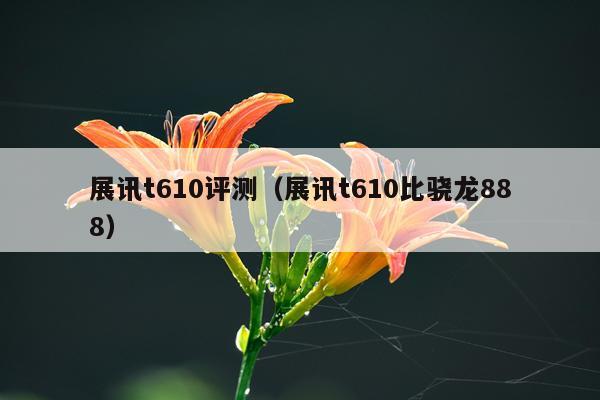 展讯t610评测（展讯t610比骁龙888）