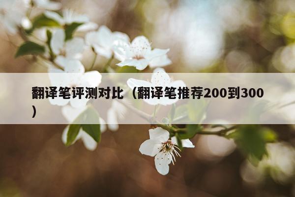 翻译笔评测对比（翻译笔推荐200到300）