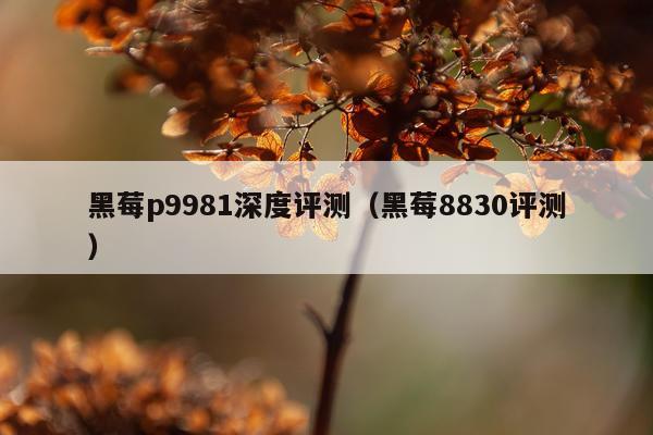 黑莓p9981深度评测（黑莓8830评测）