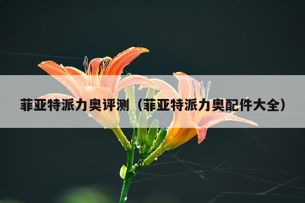 菲亚特派力奥评测（菲亚特派力奥配件大全）