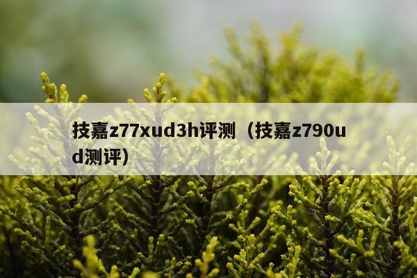 技嘉z77xud3h评测（技嘉z790ud测评）