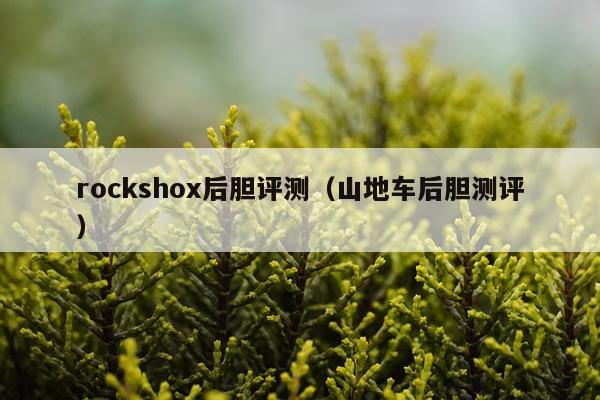 rockshox后胆评测（山地车后胆测评）