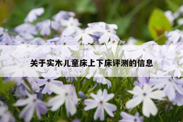 关于实木儿童床上下床评测的信息
