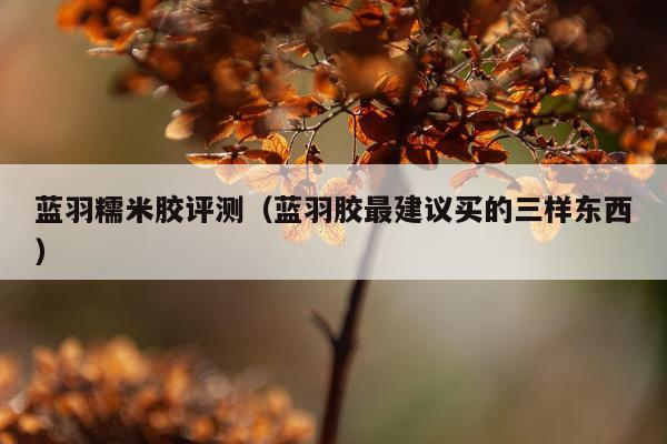 蓝羽糯米胶评测（蓝羽胶最建议买的三样东西）