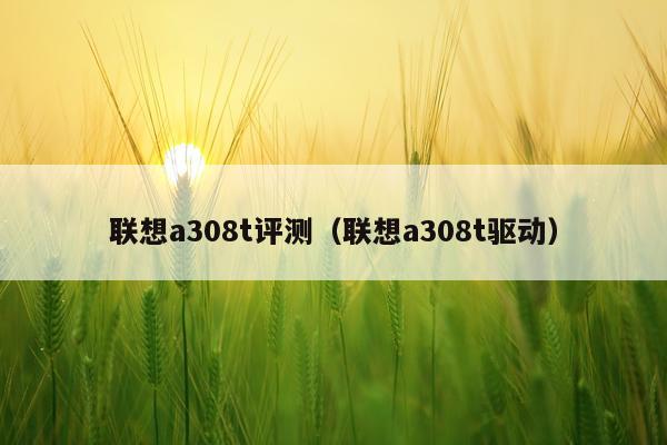 联想a308t评测（联想a308t驱动）