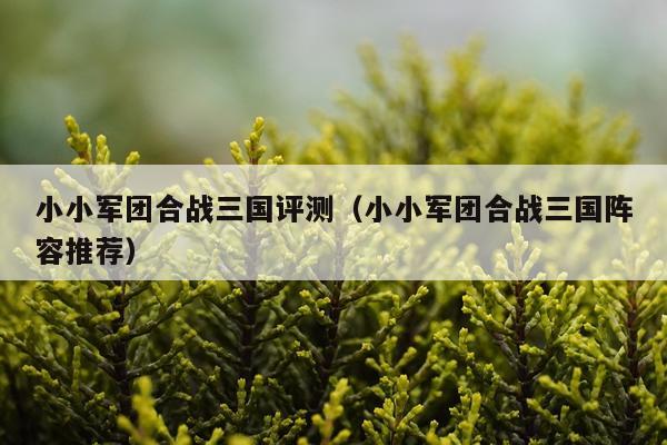 小小军团合战三国评测（小小军团合战三国阵容推荐）
