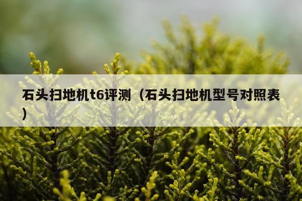 石头扫地机t6评测（石头扫地机型号对照表）