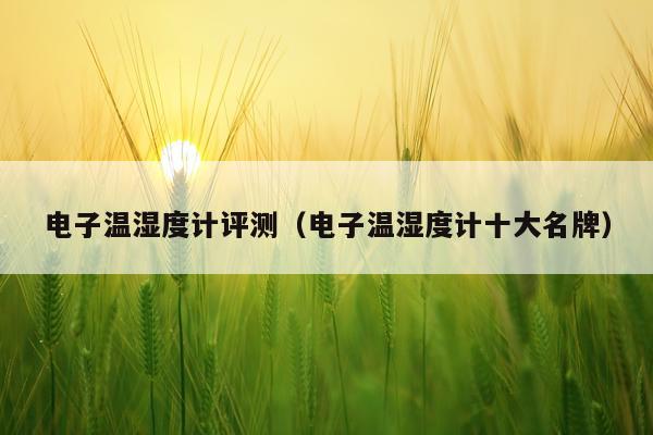 电子温湿度计评测（电子温湿度计十大名牌）
