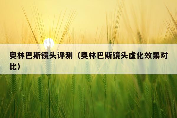 奥林巴斯镜头评测（奥林巴斯镜头虚化效果对比）