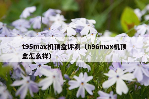 t95max机顶盒评测（h96max机顶盒怎么样）