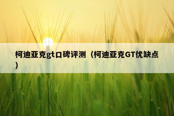 柯迪亚克gt口碑评测（柯迪亚克GT优缺点）