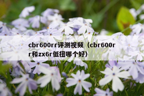 cbr600rr评测视频（cbr600rr和zx6r低扭哪个好）