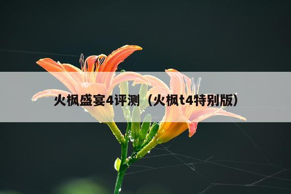 火枫盛宴4评测（火枫t4特别版）