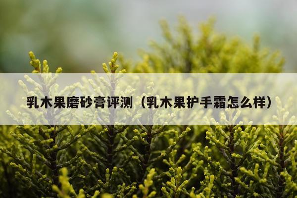 乳木果磨砂膏评测（乳木果护手霜怎么样）