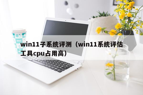 win11子系统评测（win11系统评估工具cpu占用高）