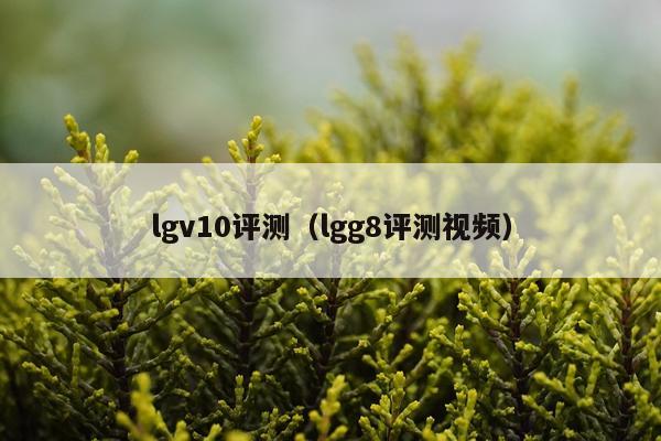 lgv10评测（lgg8评测视频）