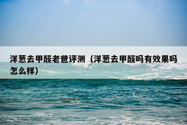 洋葱去甲醛老爸评测（洋葱去甲醛吗有效果吗怎么样）