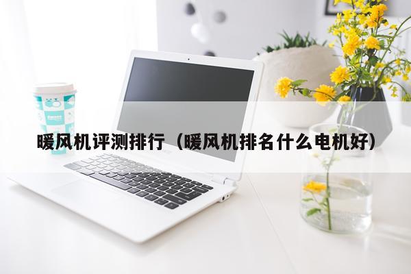 暖风机评测排行（暖风机排名什么电机好）