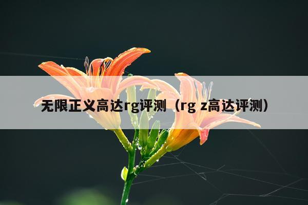 无限正义高达rg评测（rg z高达评测）