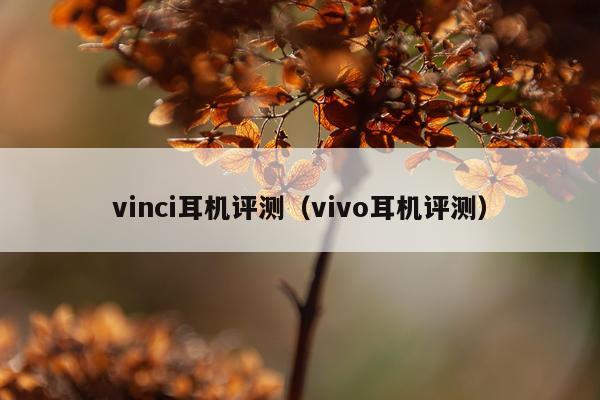 vinci耳机评测（vivo耳机评测）
