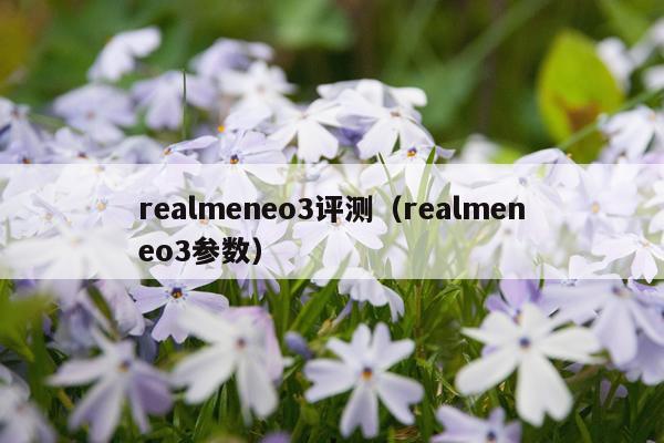 realmeneo3评测（realmeneo3参数）