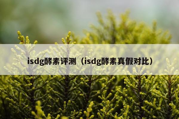 isdg酵素评测（isdg酵素真假对比）