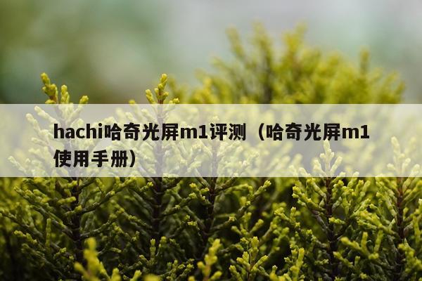 hachi哈奇光屏m1评测（哈奇光屏m1使用手册）