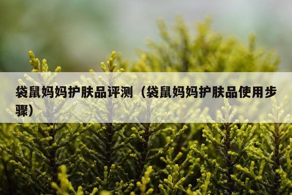 袋鼠妈妈护肤品评测（袋鼠妈妈护肤品使用步骤）
