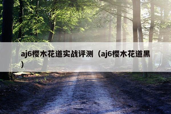 aj6樱木花道实战评测（aj6樱木花道黑）