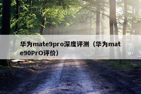华为mate9pro深度评测（华为mate90PrO评价）