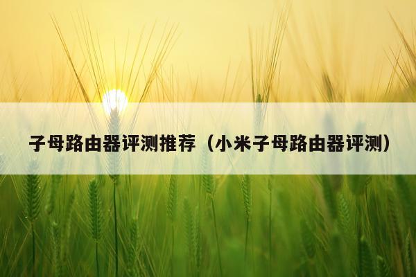 子母路由器评测推荐（小米子母路由器评测）