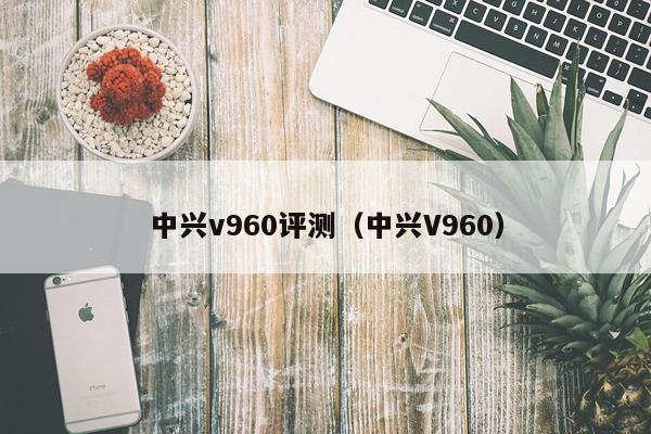 中兴v960评测（中兴V960）