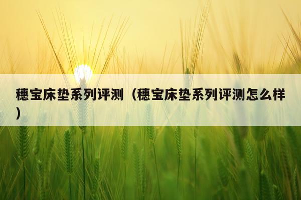 穗宝床垫系列评测（穗宝床垫系列评测怎么样）
