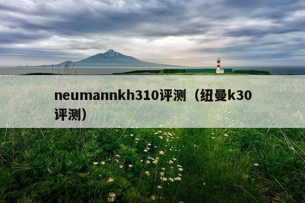 neumannkh310评测（纽曼k30评测）