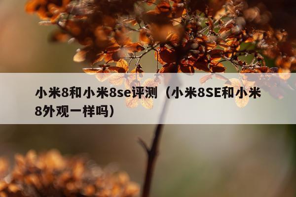 小米8和小米8se评测（小米8SE和小米8外观一样吗）