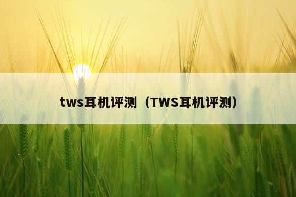 tws耳机评测（TWS耳机评测）