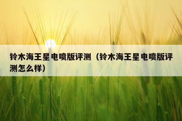 铃木海王星电喷版评测（铃木海王星电喷版评测怎么样）