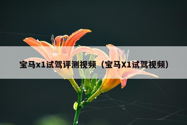 宝马x1试驾评测视频（宝马X1试驾视频）