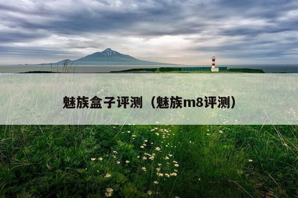 魅族盒子评测（魅族m8评测）