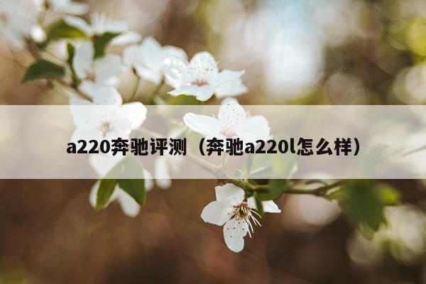 a220奔驰评测（奔驰a220l怎么样）