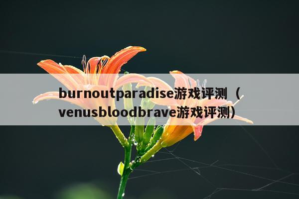 burnoutparadise游戏评测（venusbloodbrave游戏评测）