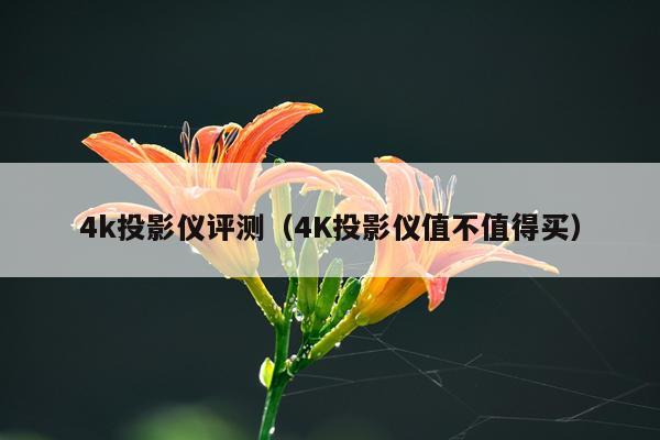 4k投影仪评测（4K投影仪值不值得买）