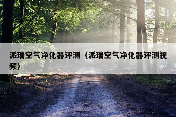 派瑞空气净化器评测（派瑞空气净化器评测视频）
