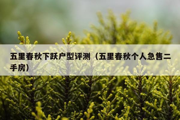 五里春秋下跃户型评测（五里春秋个人急售二手房）